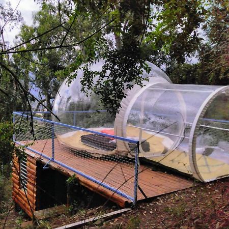 Hotel Dans Ma Bulle By C Cibeaulaos Cilaos Exteriér fotografie